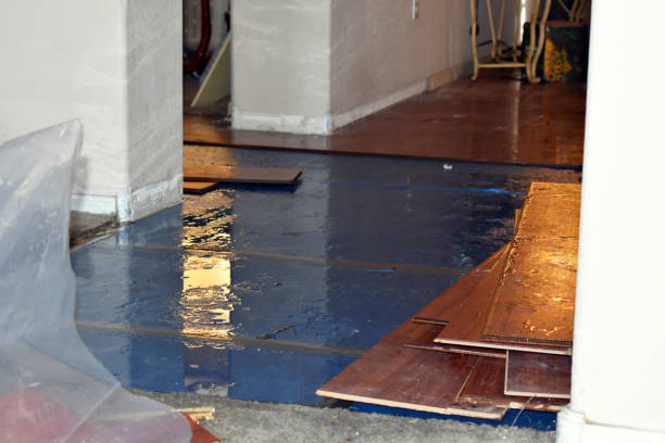 Professional Flood Damage Restoration technician working in East Springfield, OH